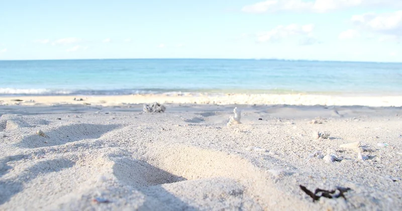 La question éthique : nommer ou taire les plages cachées ?
