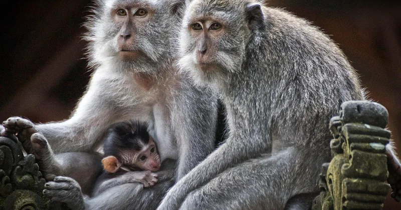 Voyager éco-responsable en famille : mythe ou réalité ?